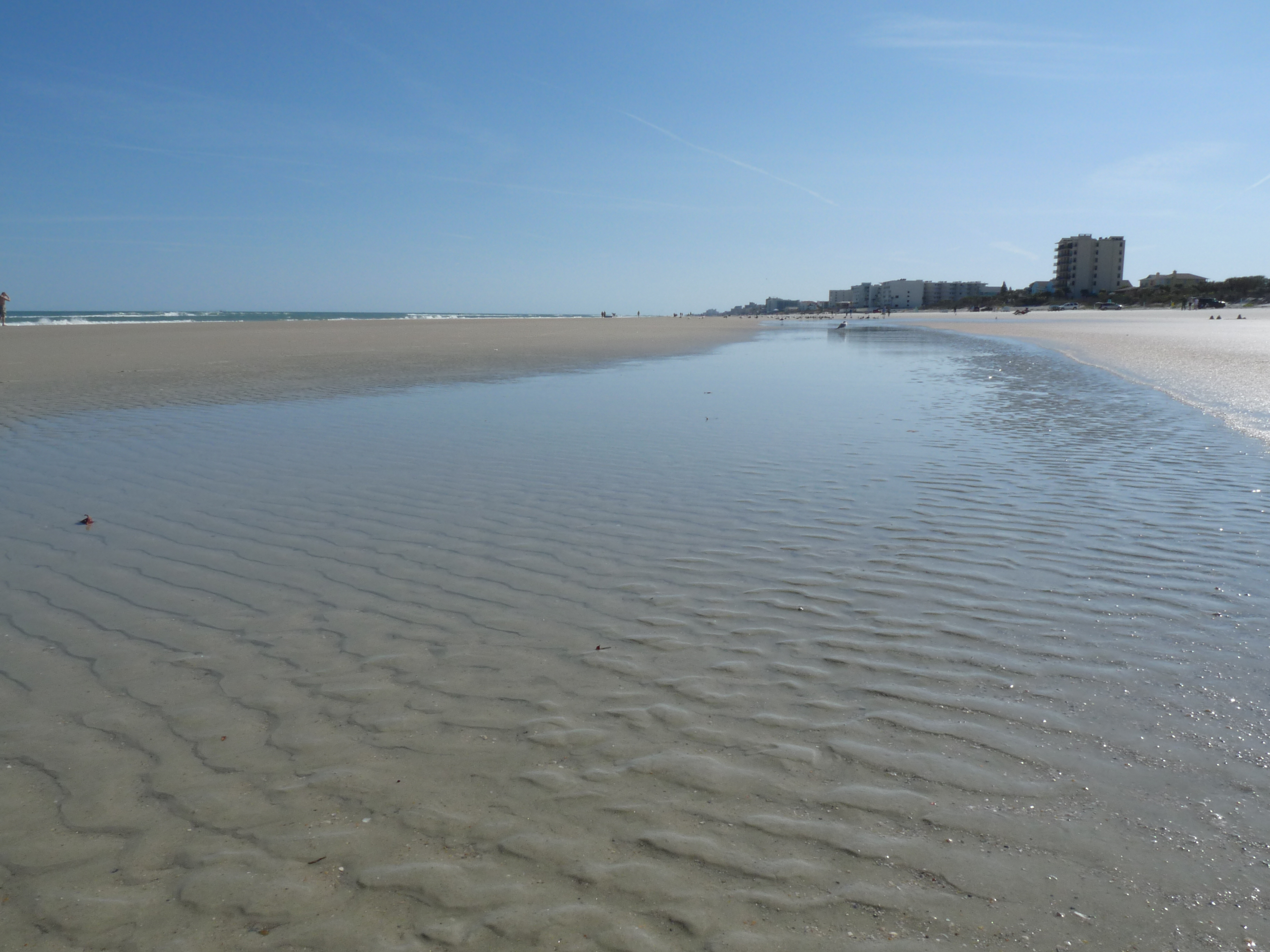 new smyrna beach real estate